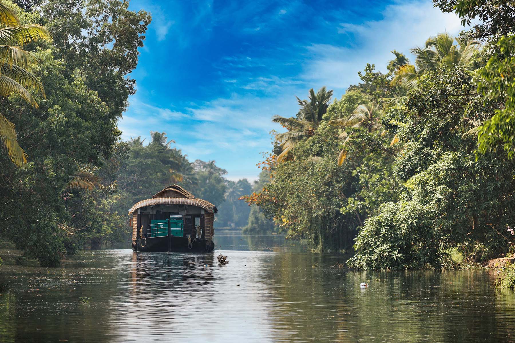 Houseboat in Kerala backwaters