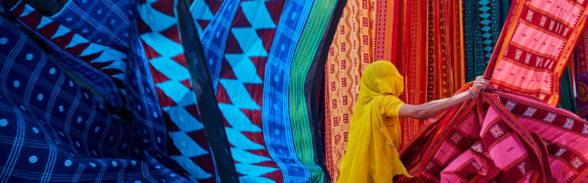 Rajasthan Woman Collecting Textiles
