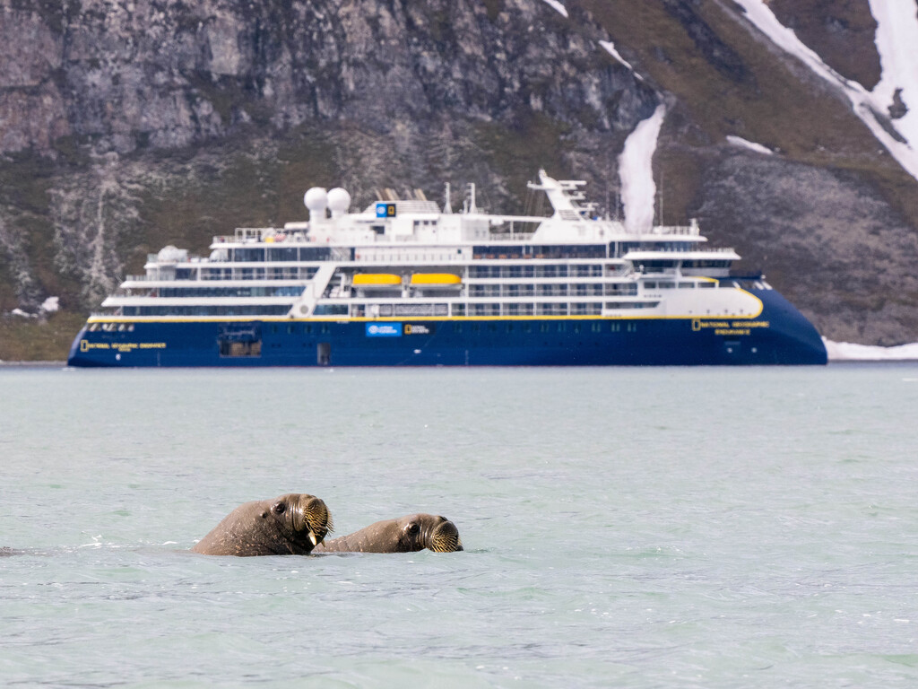 Medium RGB LEX Norway Svalbard 0522 016