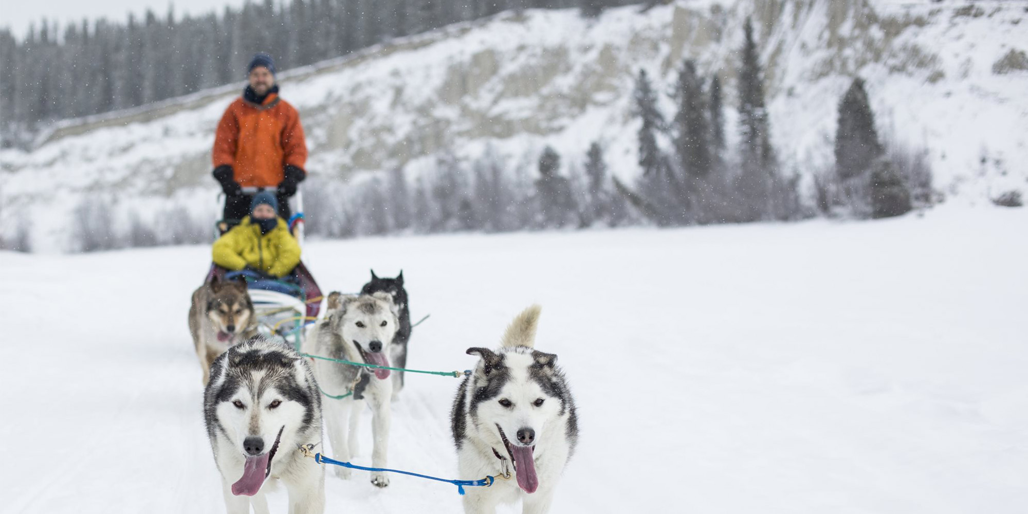 Huskys pulling a sleigh through the snow