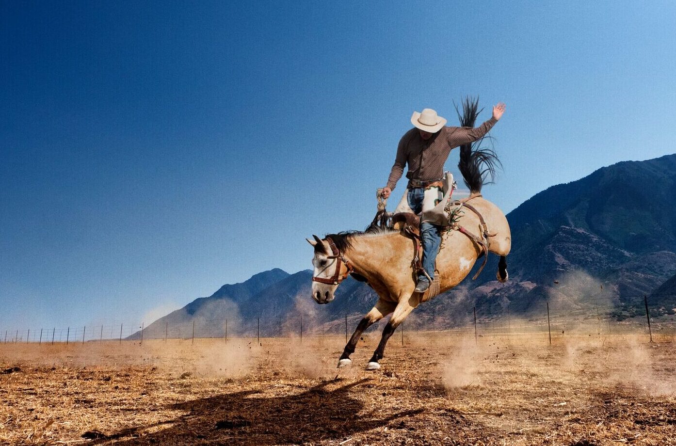 A man riding on the back of a brown horse