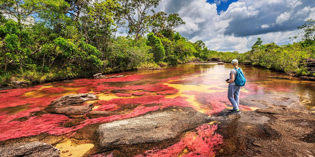 Tourist Looking At The Coloured Water