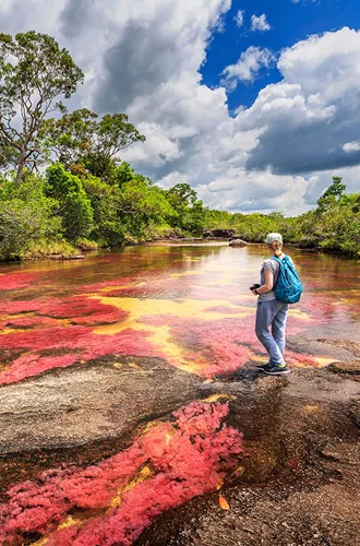 Tourist Looking At The Coloured Water