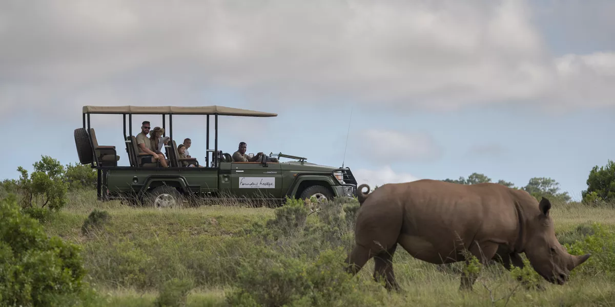 Rhino in the wild with a safari vehicle pulled up beside it.