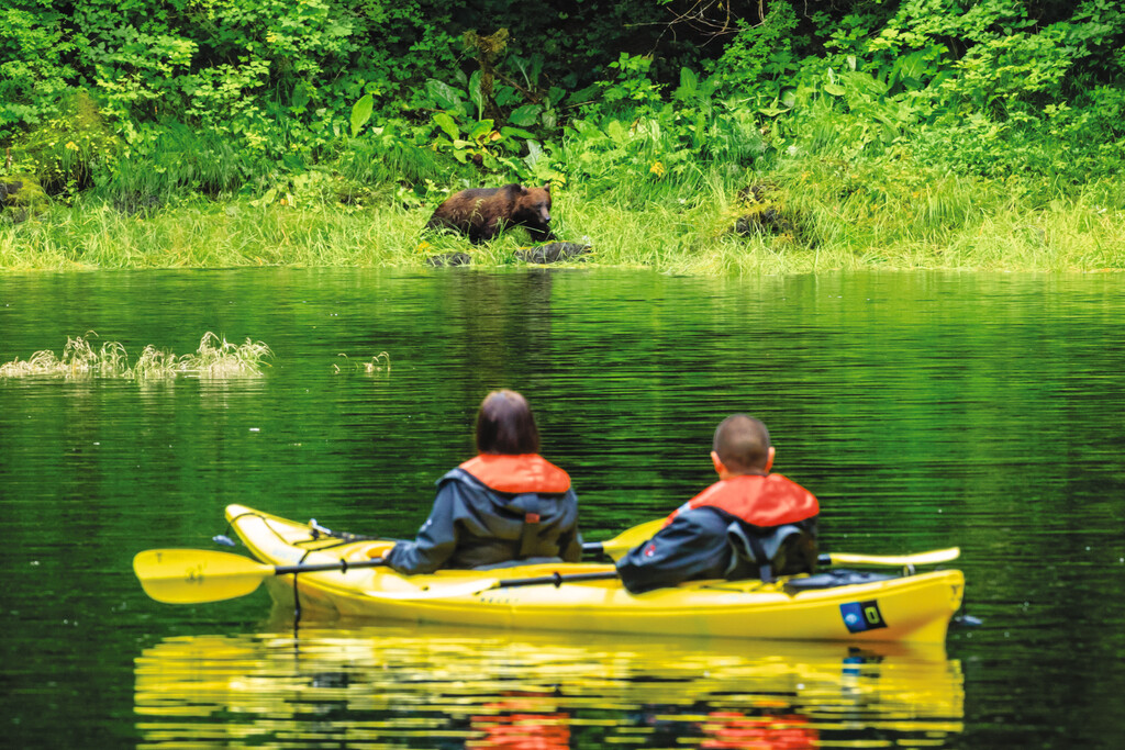 Guests Watch A Brown Bear By Zodiac In Kelp Bay, Baranof Island, Tongass National Forest