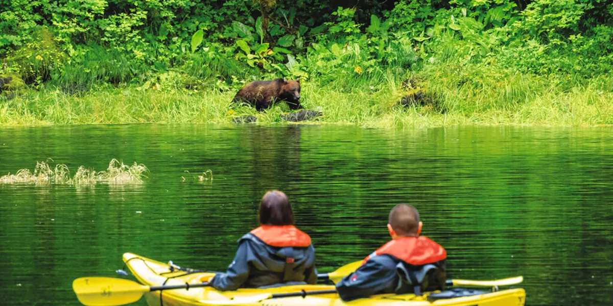 Guests Watch A Brown Bear By Zodiac In Kelp Bay, Baranof Island, Tongass National Forest