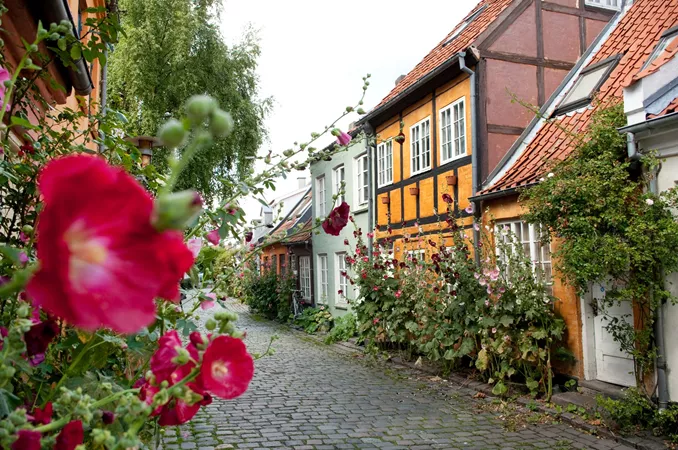 Historic Houses on a street with bushes and flowers