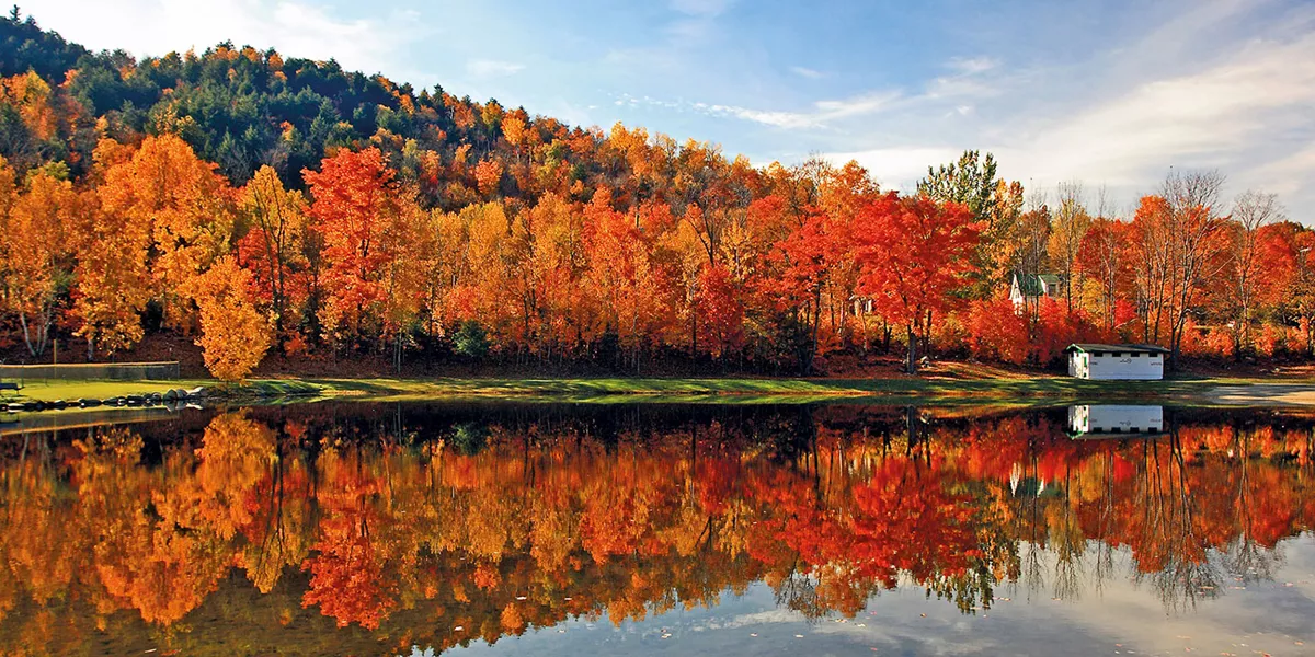 Fall foliage over the water
