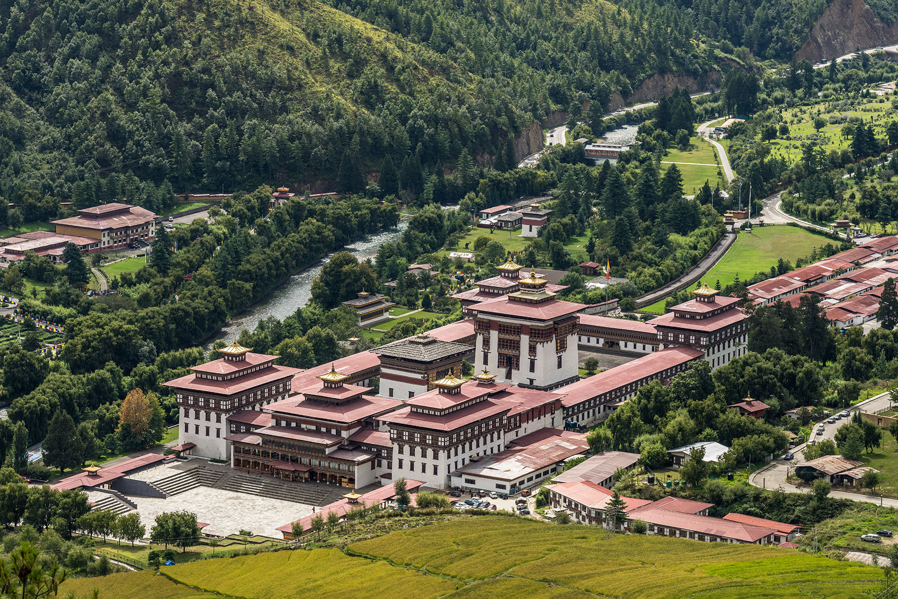ancient complex of buildings within a forest