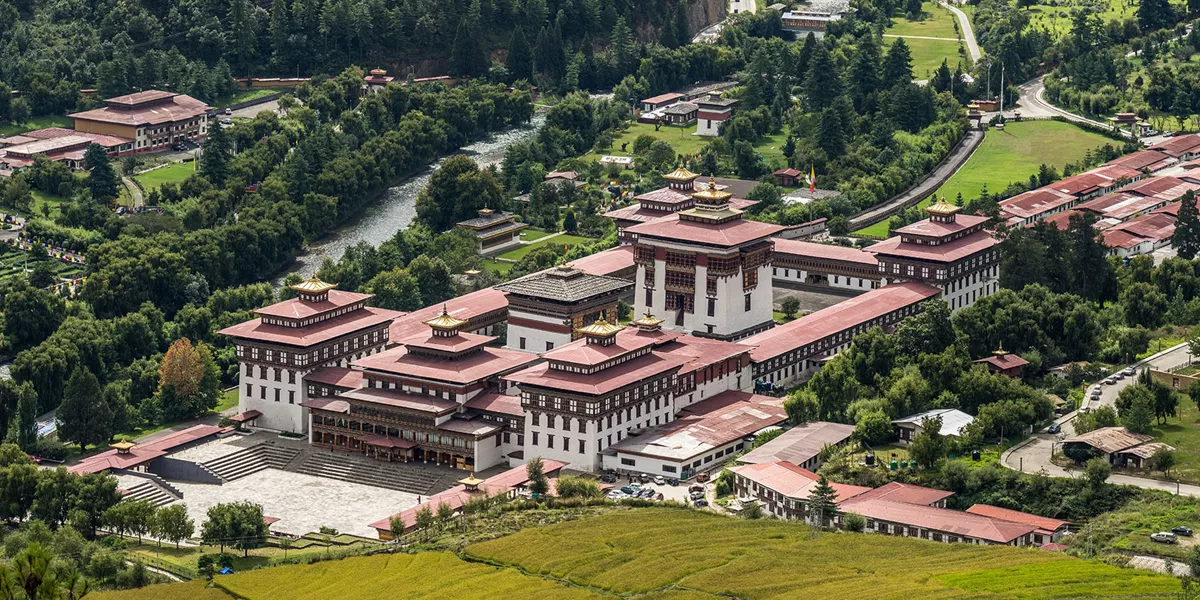 ancient complex of buildings within a forest