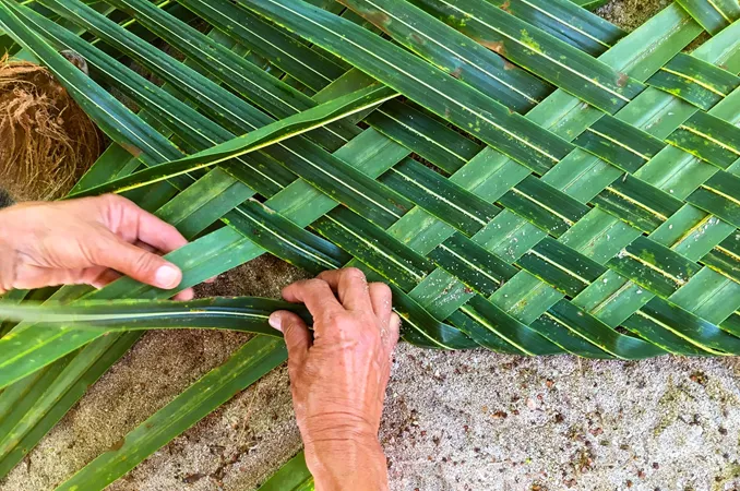 Weaving Coconut Palm