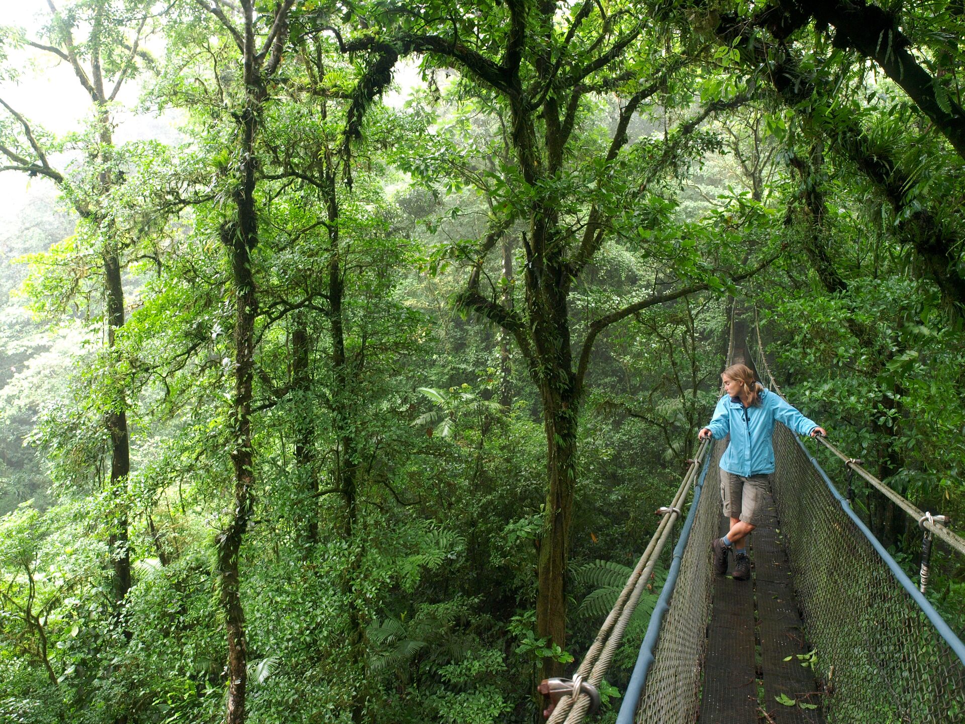Costa Rica Monteverde Cloud Forest Woman Standing On Hanging Bridge In The Forest