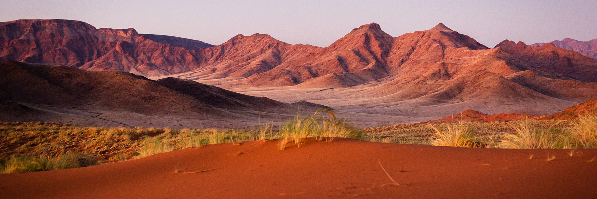 A desert landscape with mountains in the background
