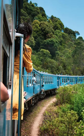 Blue train to tea plantations