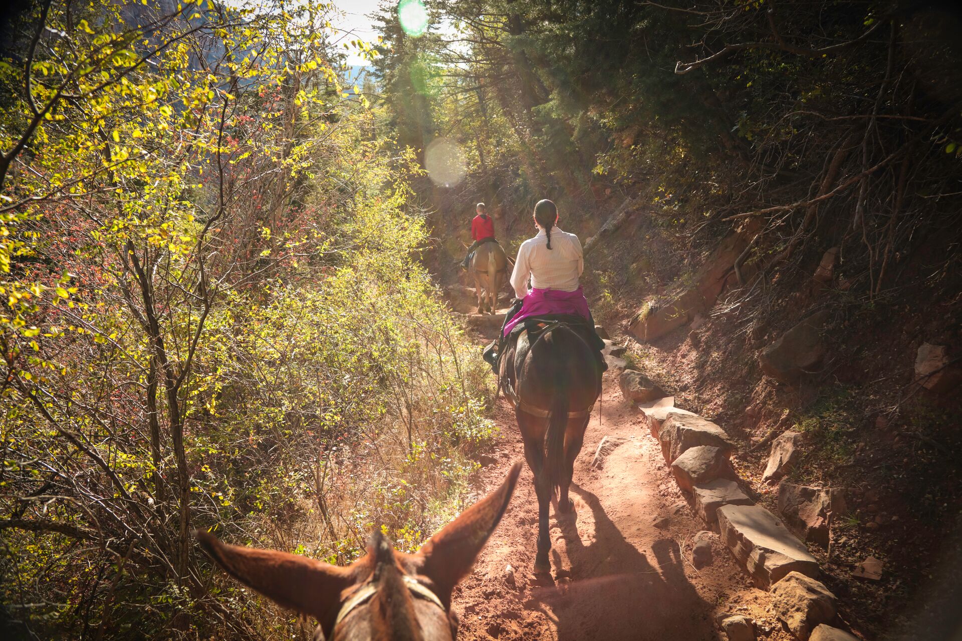 Line of people riding horses down a path.