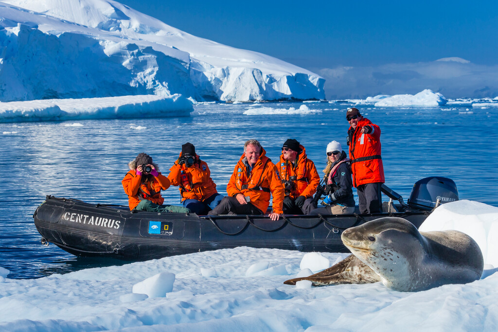 People in antarctica with a seal on the icy shore