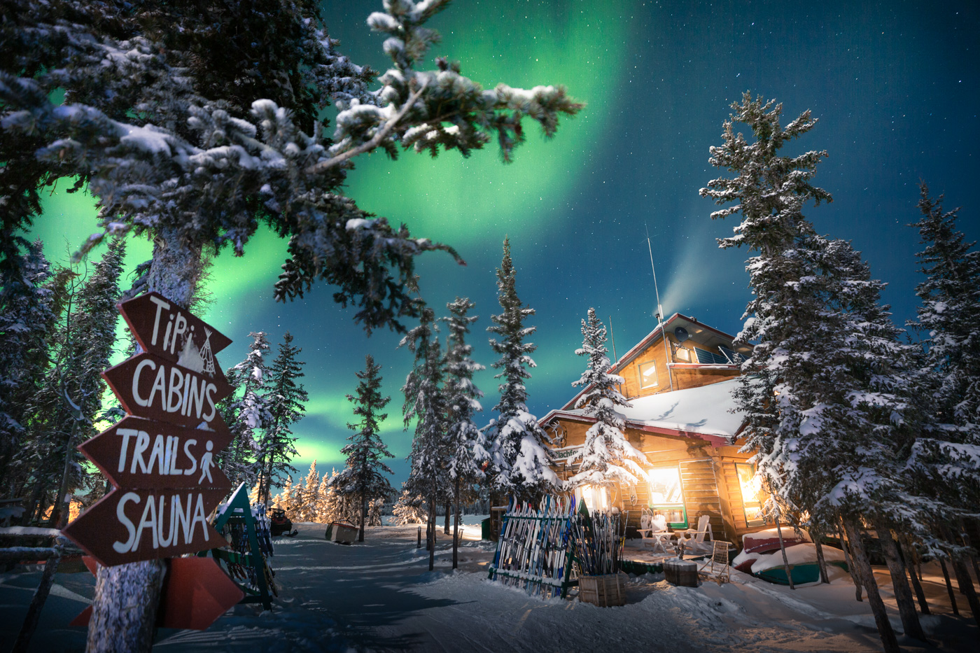 Winter Aurora Signs