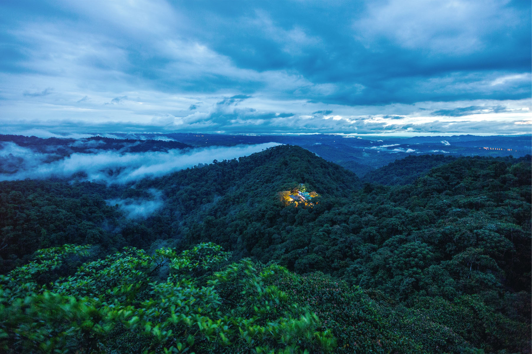 Hotel in a deep forest