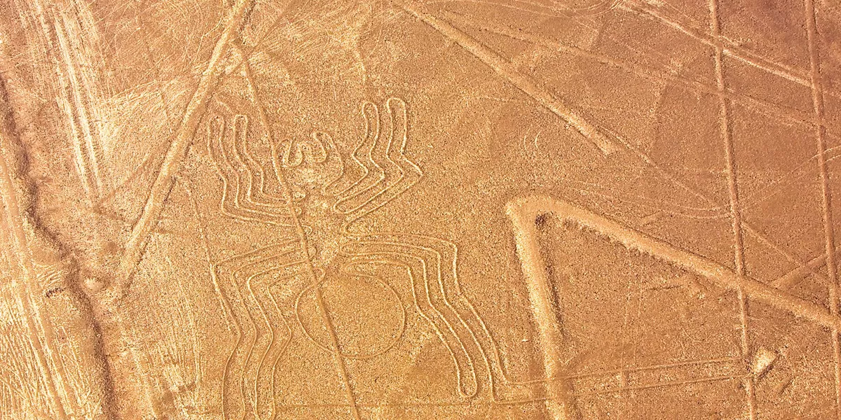 Lines in the ground representing a spider