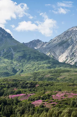 Mountainous landscape