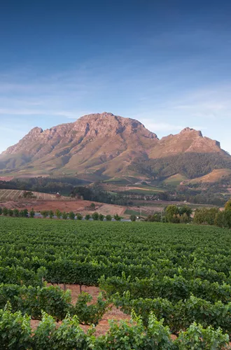 South Africa Stellenbosch