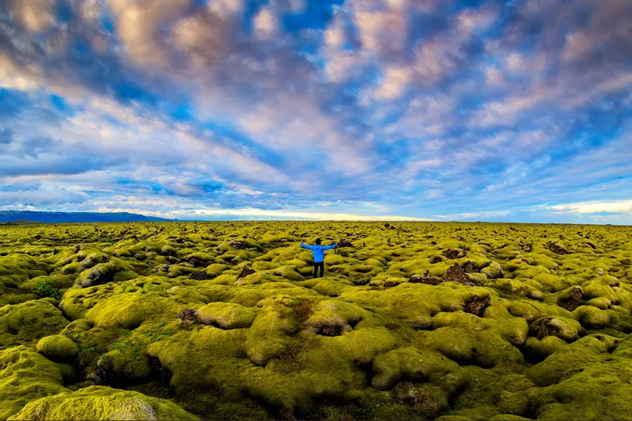 Eldhraun Lava Field filled with moss, man raising hands in the middle.