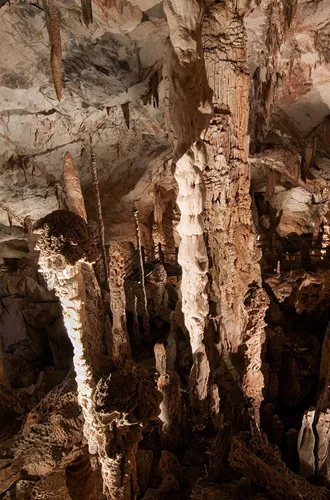 Kings Chamber In Wind Cave