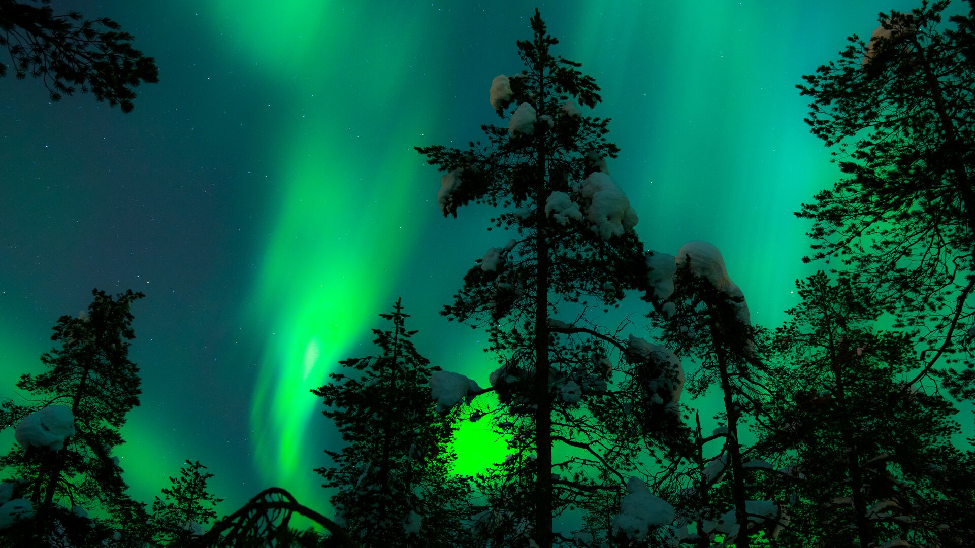 Finland Lapland Northern Lights (1)