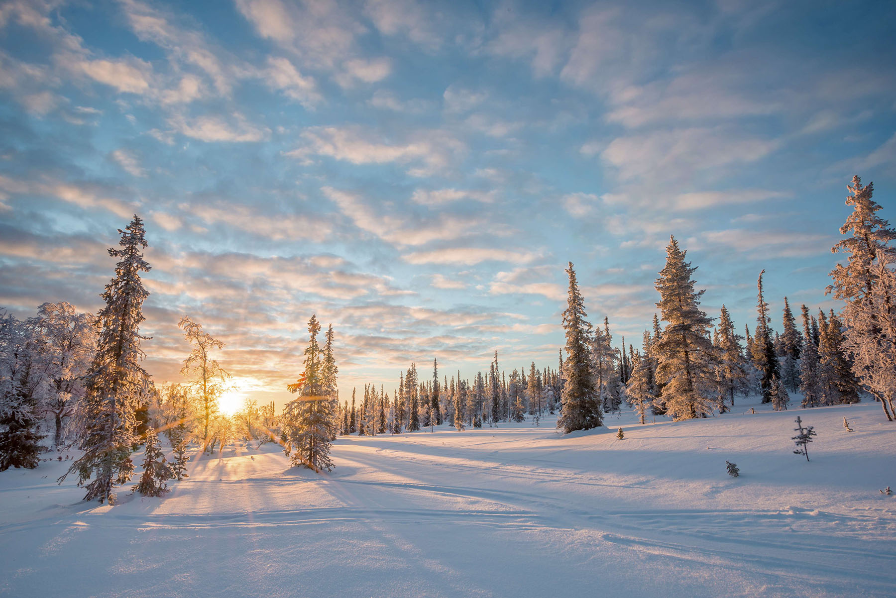 Winter lapland landscape