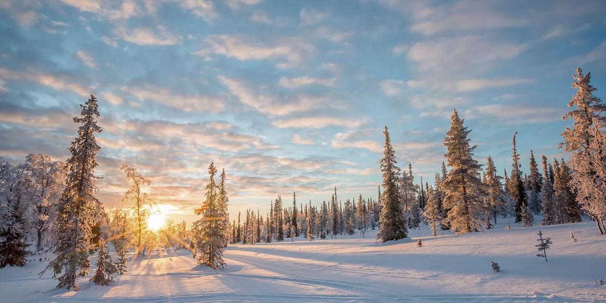 Winter lapland landscape