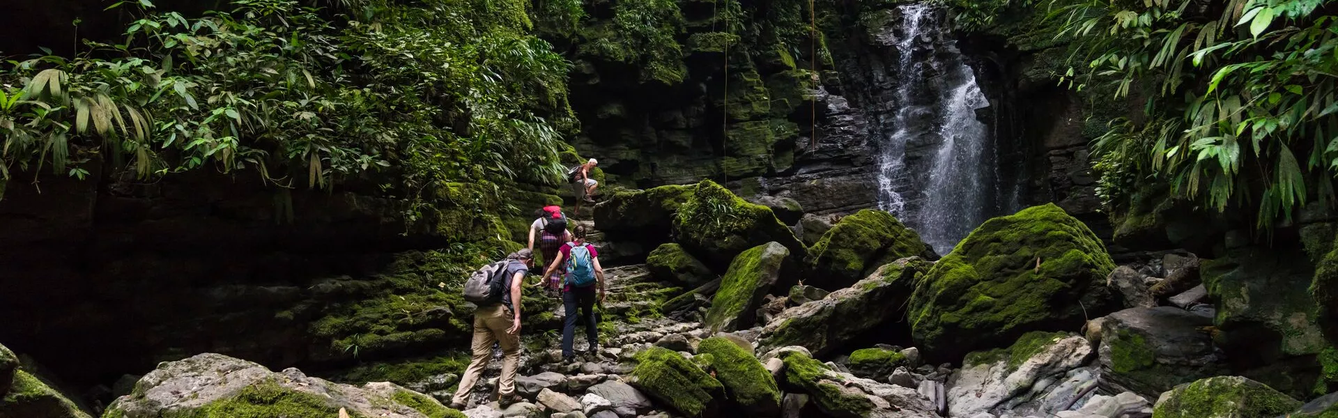 Hikers in the amazon rainforest alongside a waterfall