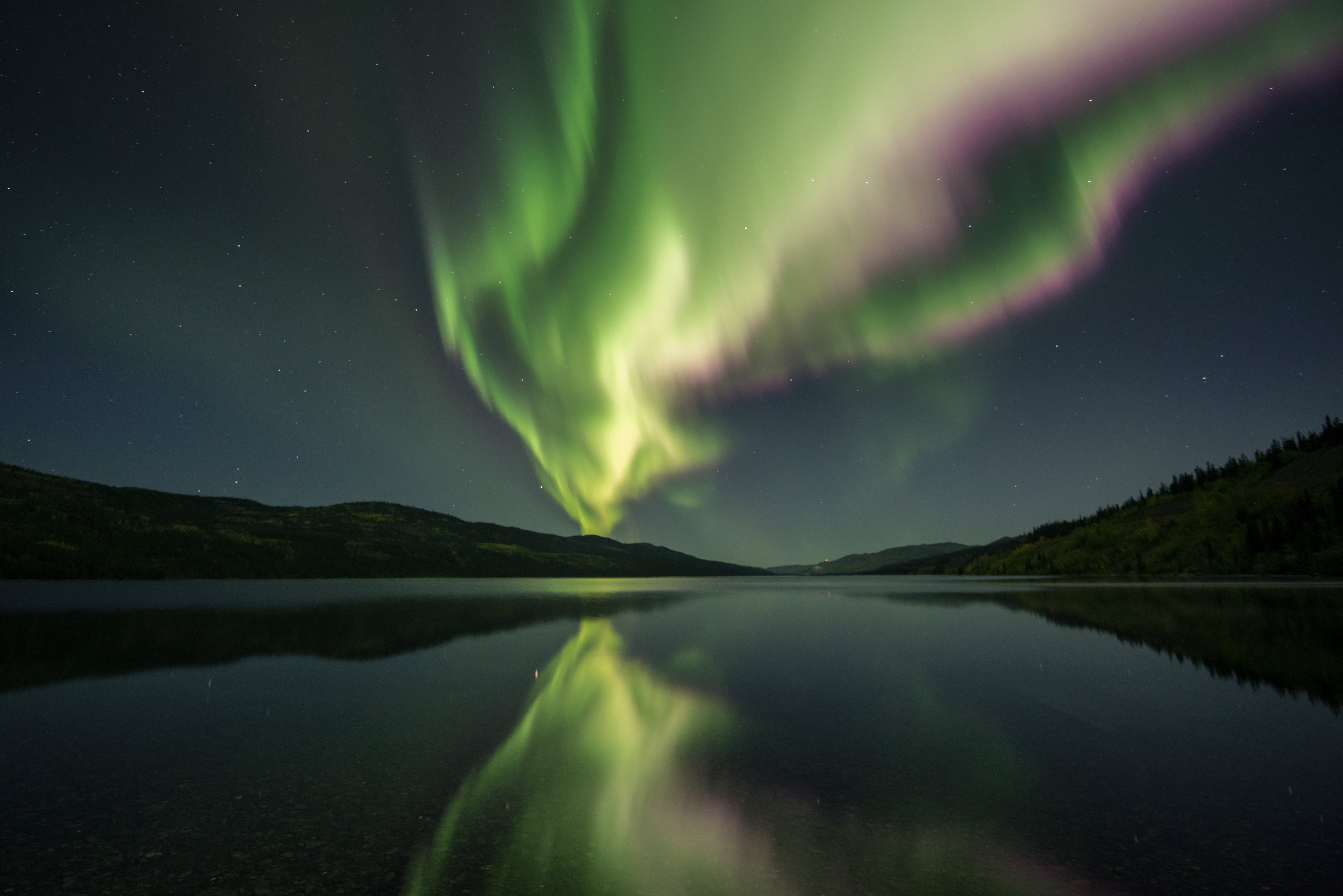 Northern Lights above Fox Lake in Canada
