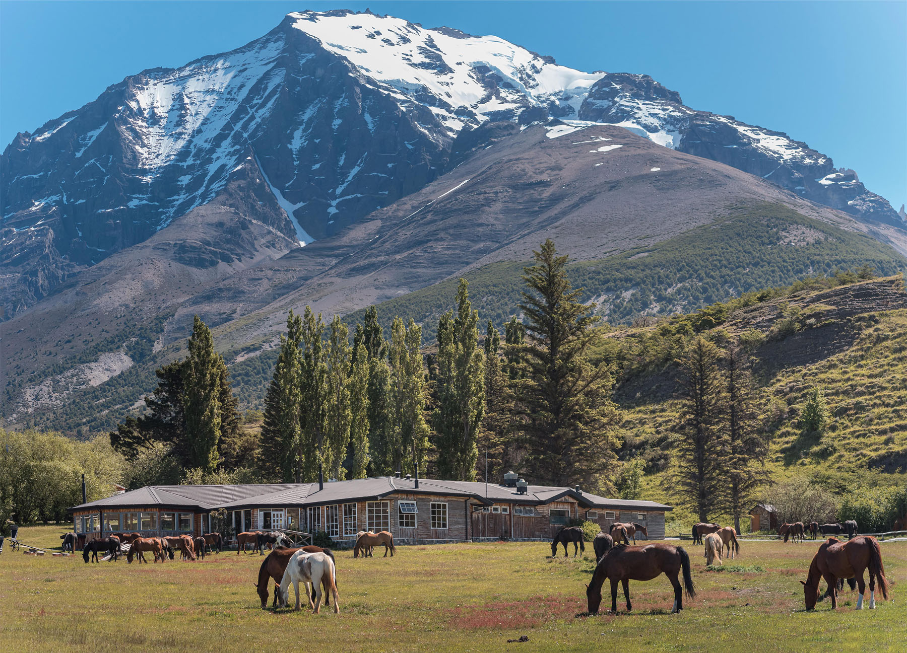 Lodge with horses in front in the mountains