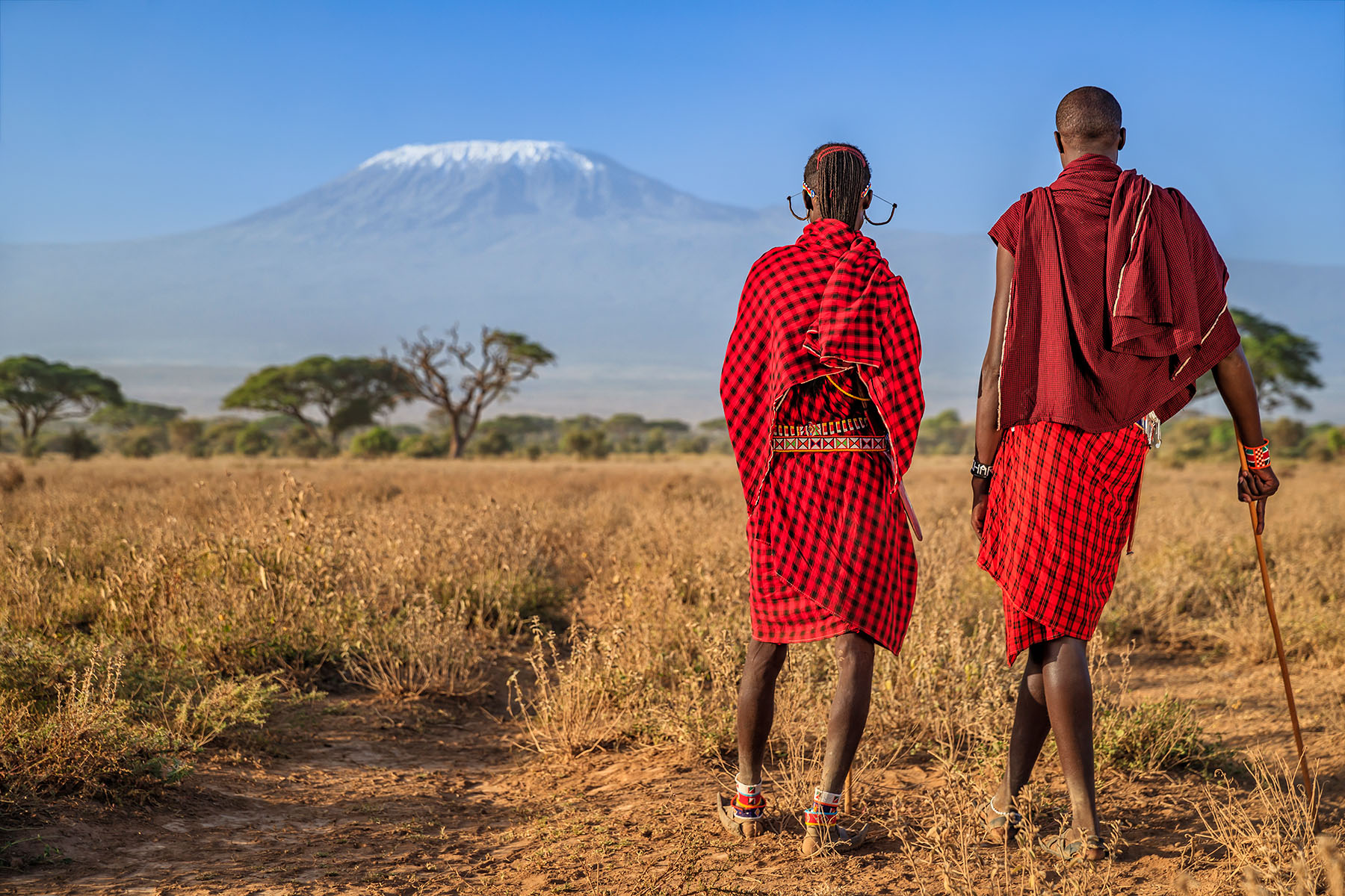 Warriors From Maasai Tribe Looking At Mount Kilimanjaro, Kenya, Africa