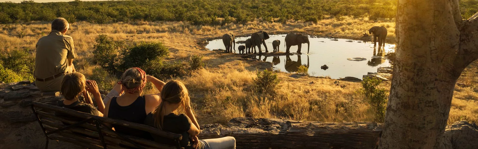 Family Watching Elephants from a distance
