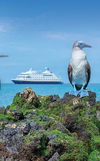 Medium RGB LEX Ecuador Galapagos Islands Ship NG Endeavor II Exterior AJ GALA19