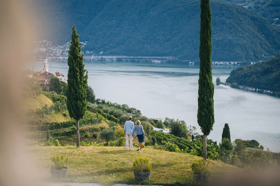 Mature Couple Walk Through Vineyard In The Morning