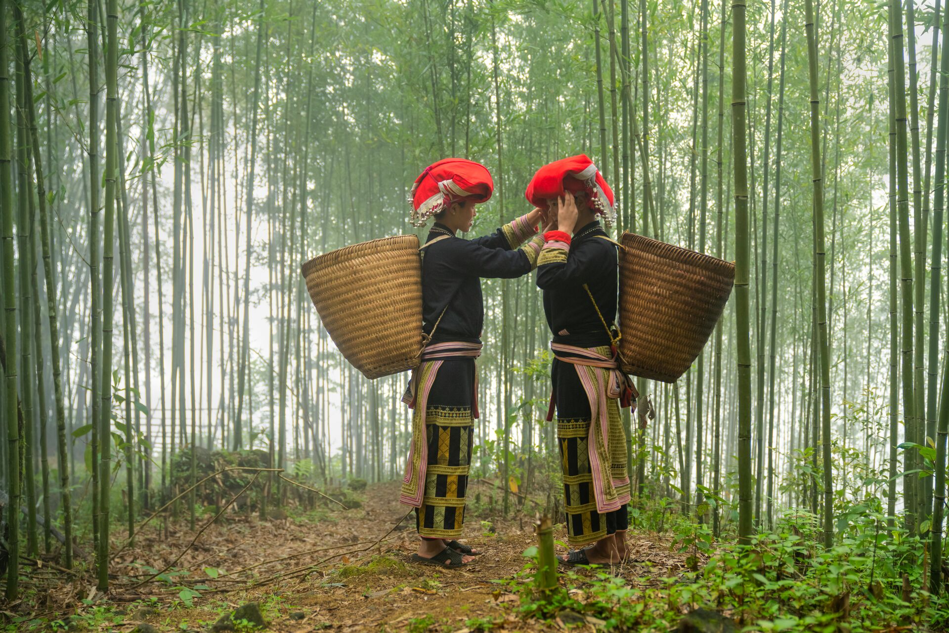 Two women dressed in traditional clothing in a bamboo forest